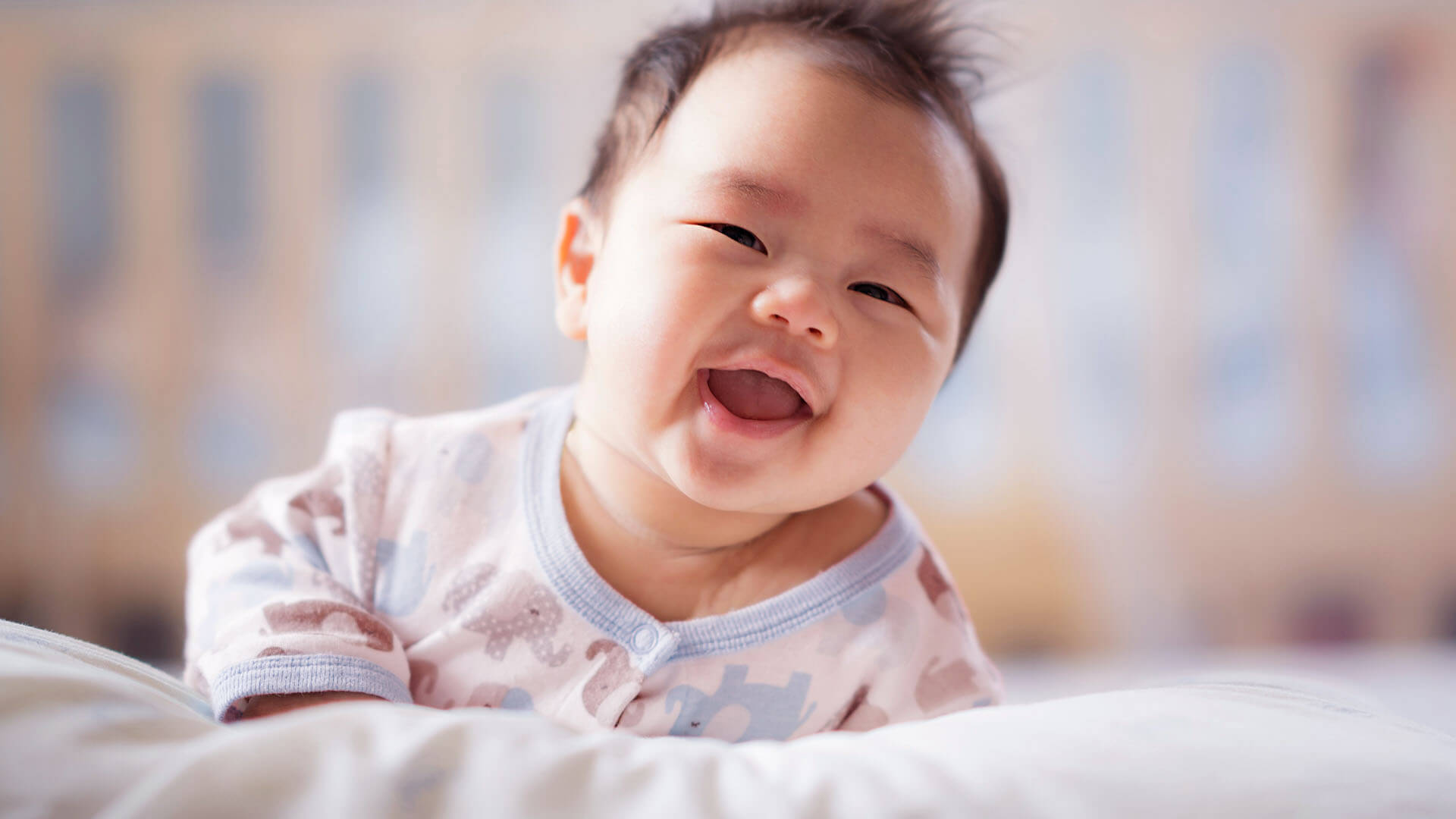 How do newborn babies primarily learn?